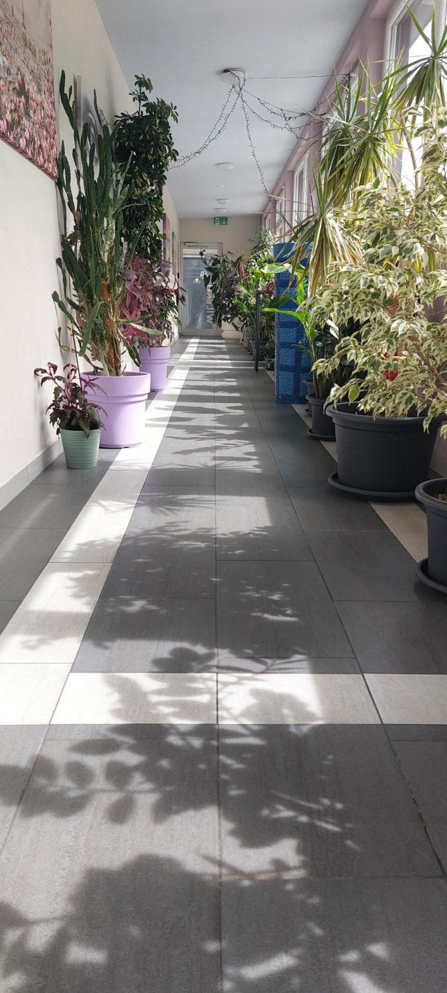Hotel Belp Bern Airport Free Parking Exterior photo